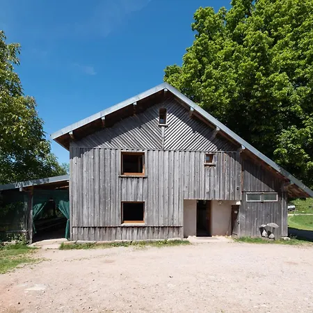 Apartment A La Ferme Aux Moineaux Dommartin-lès-Remiremont