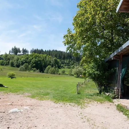 Appartamento à La Ferme Aux Moineaux - Pour 25 Dommartin-lès-Remiremont