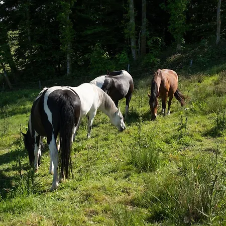 Appartamento à La Ferme Aux Moineaux - Pour 25 *